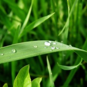 Meet your Posher, Maryam